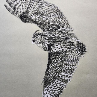 Illustrations