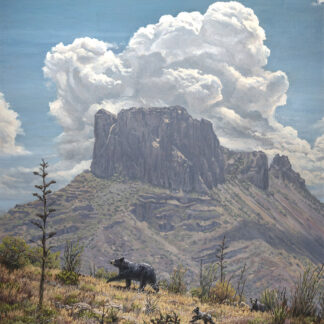 Oil Paintings
